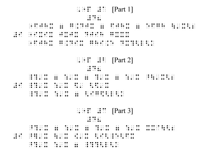 Janie's Whales braille music
