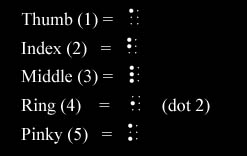 braille fingering review